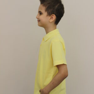 sarı kısa kollu polo yaka t shirt (kopya)