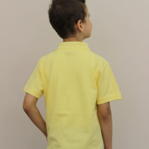 sarı kısa kollu polo yaka t shirt (kopya)